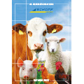 Download