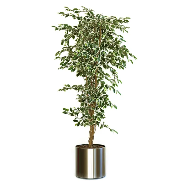Produktbild für 9993812124