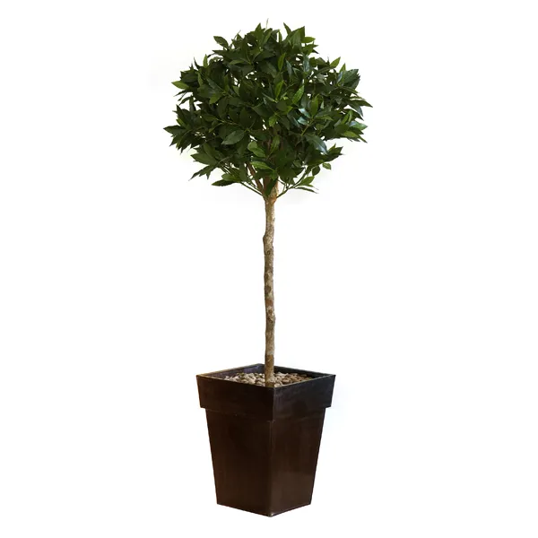 Produktbild für 9993931566