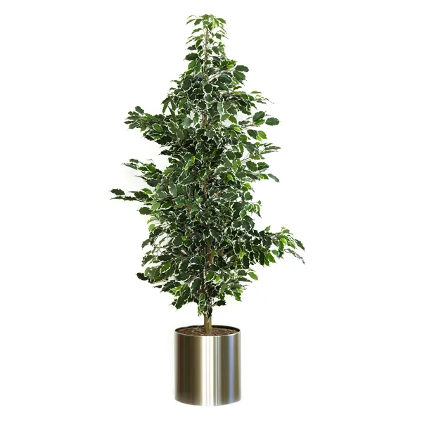 Produktbild für 9993811820