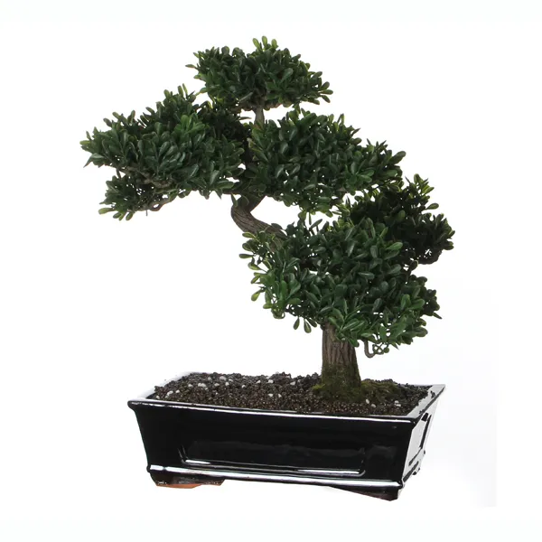 Knstliche Pflanze Bonsai Teeblatt Grn