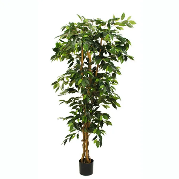 Produktbild für 9993801746