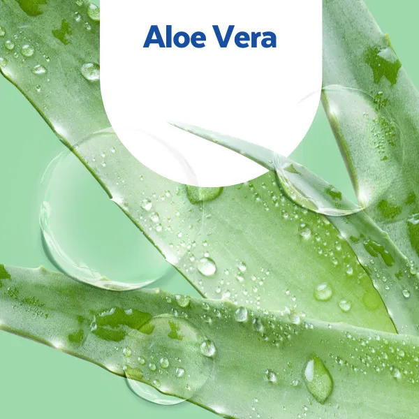 Seife Sagrotan Hygieneseife Aloe Vera 250 ml Dispenser