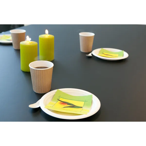 Einwegteller Abena flacher Teller oval 19 x 26 cm Karton