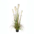 Produktbild für 9969651307
